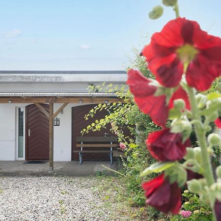 Apartament Haus Waldfrieden Ferienhaeuschen Waldfrieden Haffkrug Zewnętrze zdjęcie