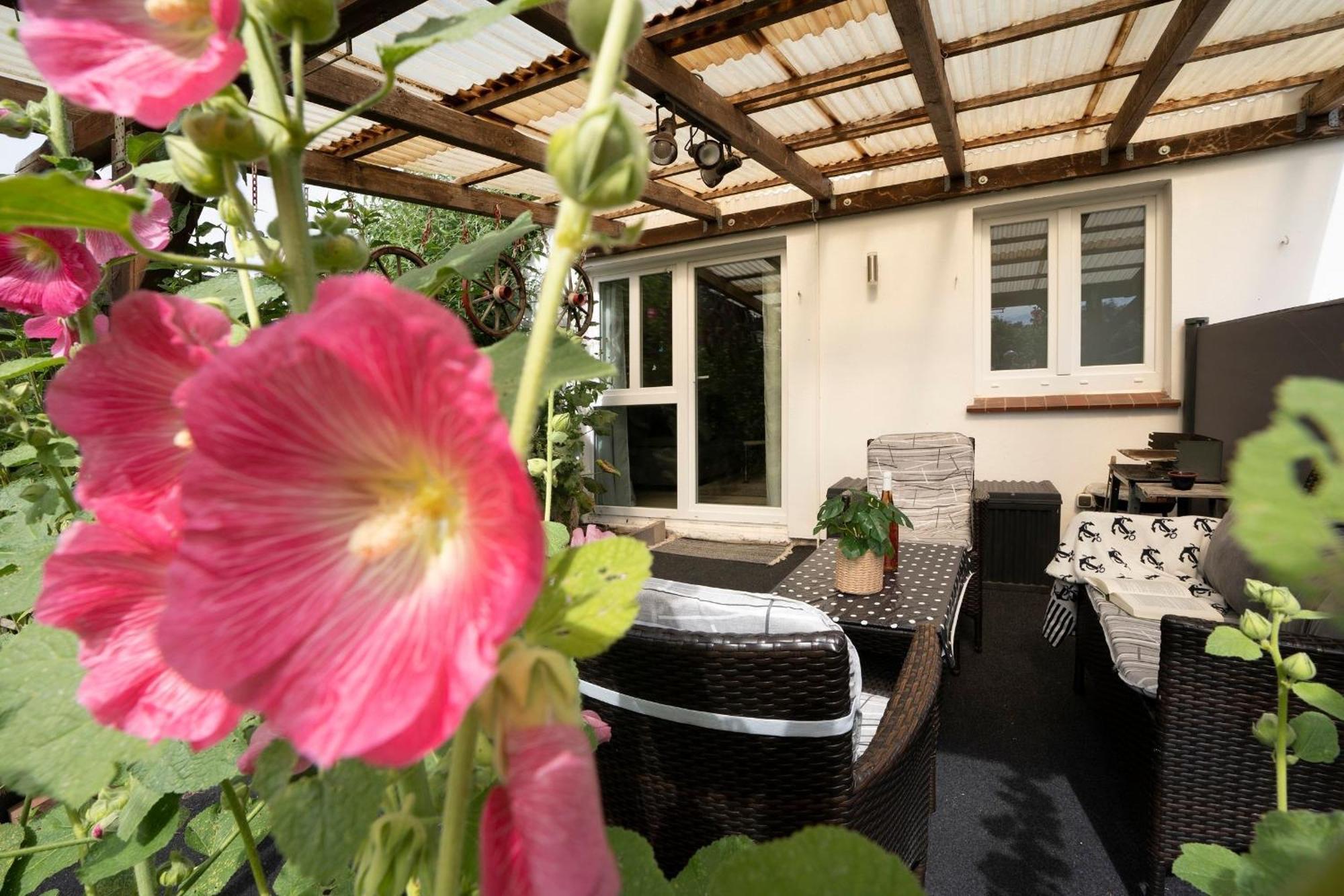 Apartament Haus Waldfrieden Ferienhaeuschen Waldfrieden Haffkrug Zewnętrze zdjęcie