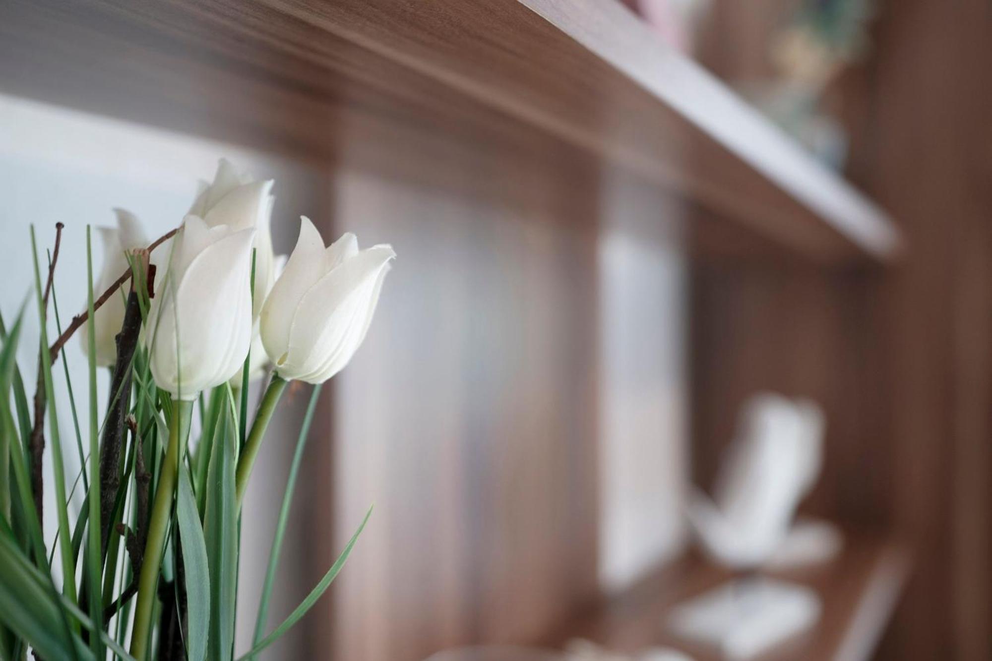 Apartament Haus Waldfrieden Ferienhaeuschen Waldfrieden Haffkrug Zewnętrze zdjęcie